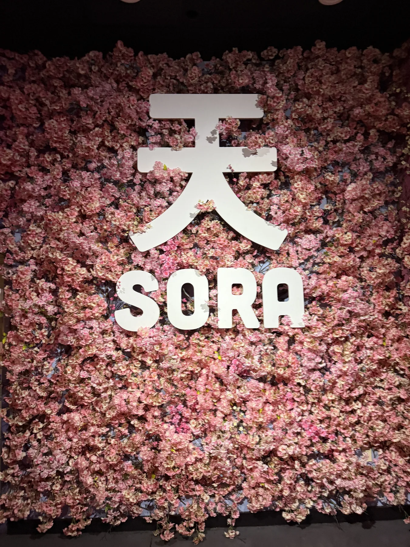 The Sora flower wall welcoming guests to OpenCLE
